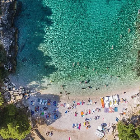 In With Wifi Διαμέρισμα Πούλα